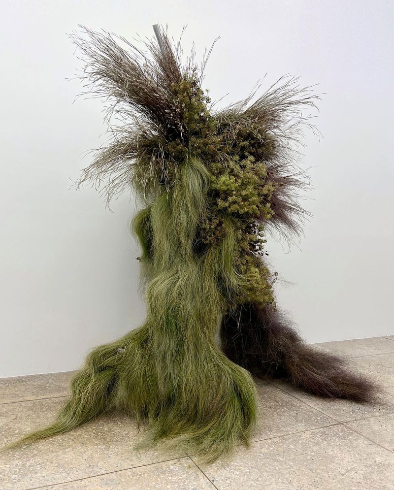Grass Tree