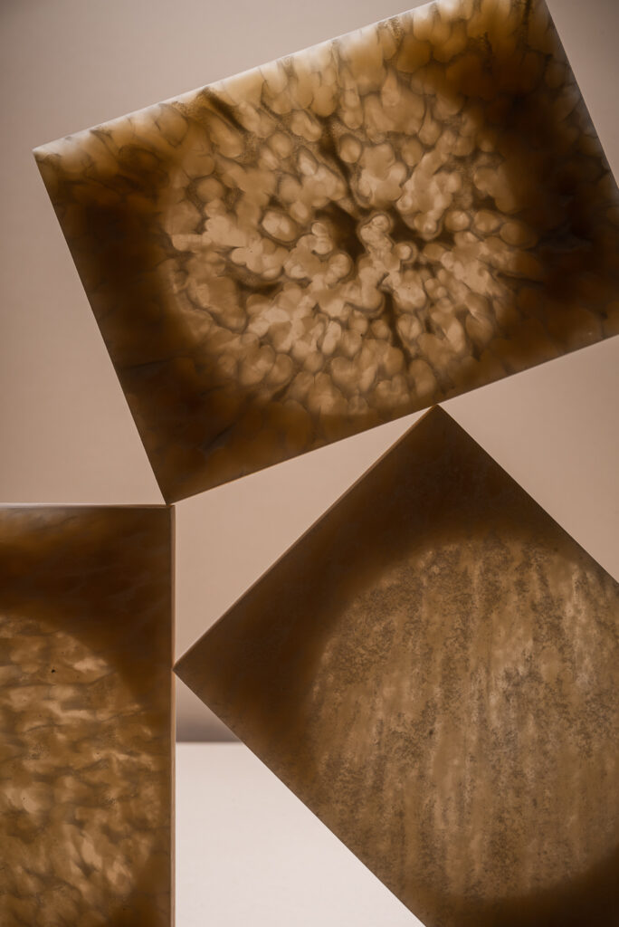 Enlarging the cross-section of bioplastics with an ultra-close lens to highlight the unique patterns that emerged during the production process, this is a photograph that seems to capture the principles of organic nature, almost as if cells or leaf veins. © Jakub Caprnka