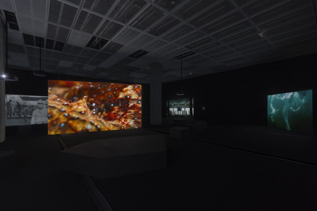 Ieodo (Island Beyond the Sea).
Exhibition view: National Museum of Modern and Contemporary Art Korea, Korea Artist Prize, 2024.
Photo: CJY Art Studio for MMCA